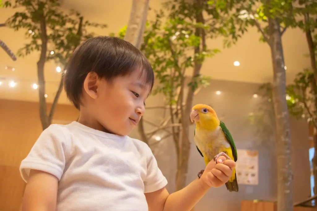 2024年7月13日（土）『Moff animal cafe イーアスつくば店』がリニューアルオープン！