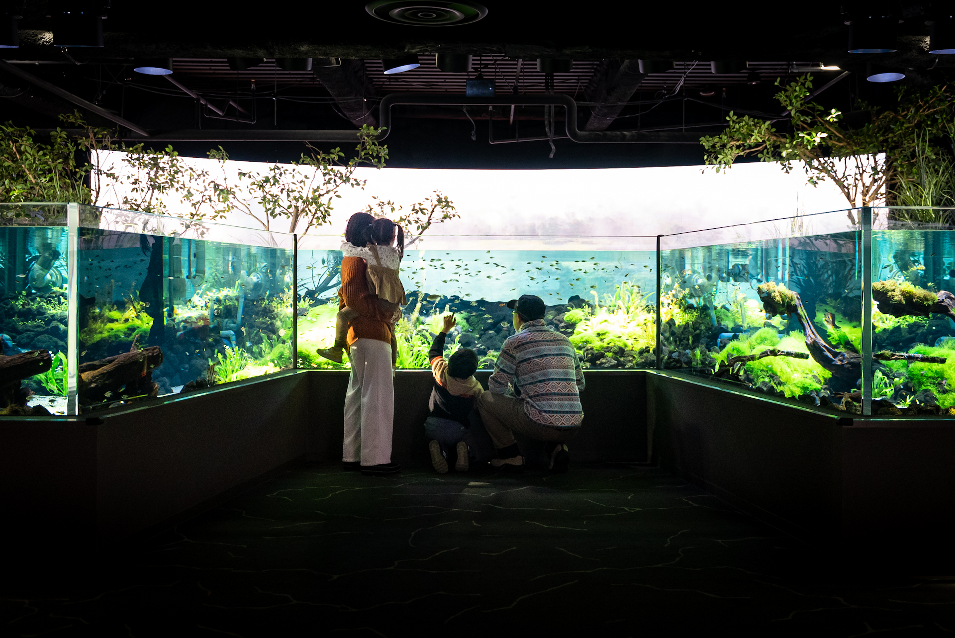 MOFF Large Facility Operation Project Introduction: Kanagawa Aquarium, parents and children observing fish in front of an aquarium tank.