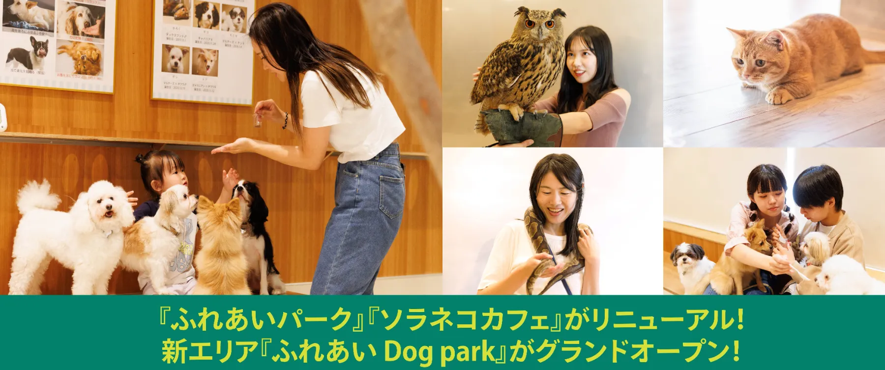 2024年7月にカワスイがリニューアル！『ふれあい Dog park』がグランドオープン！