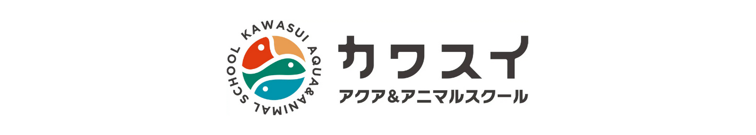 カワスイスクール