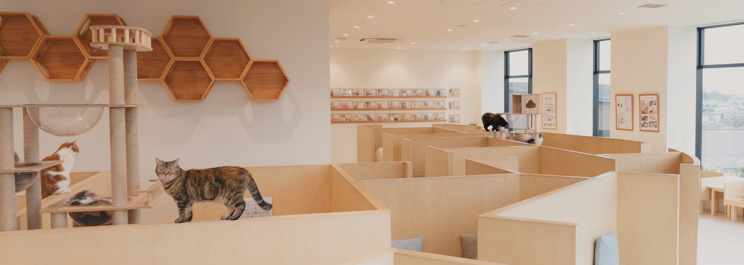 株式会社MOFF企業情報ページファーストビュー画像